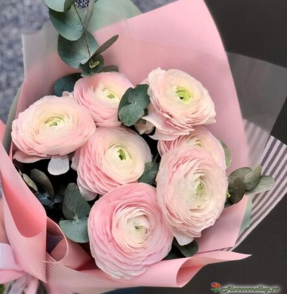 Букет ранункулюсов с эвкалиптом