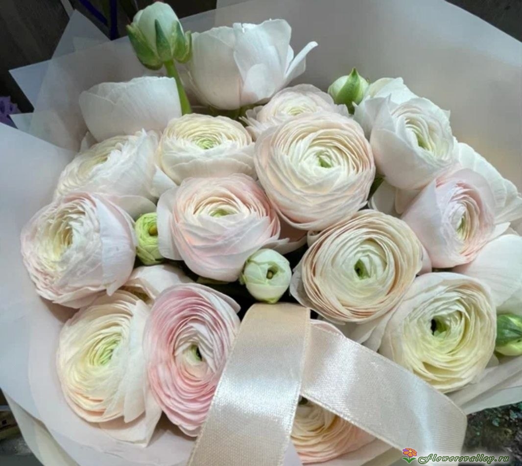 Букет белых ранункулюсов