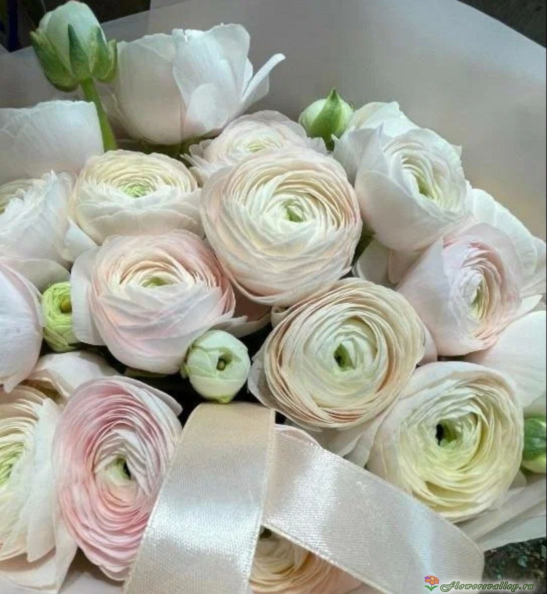 Букет белых ранункулюсов