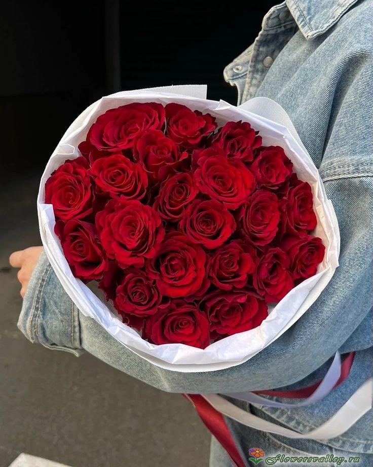 Букет из 25 красных роз ,сорт "Explorer"