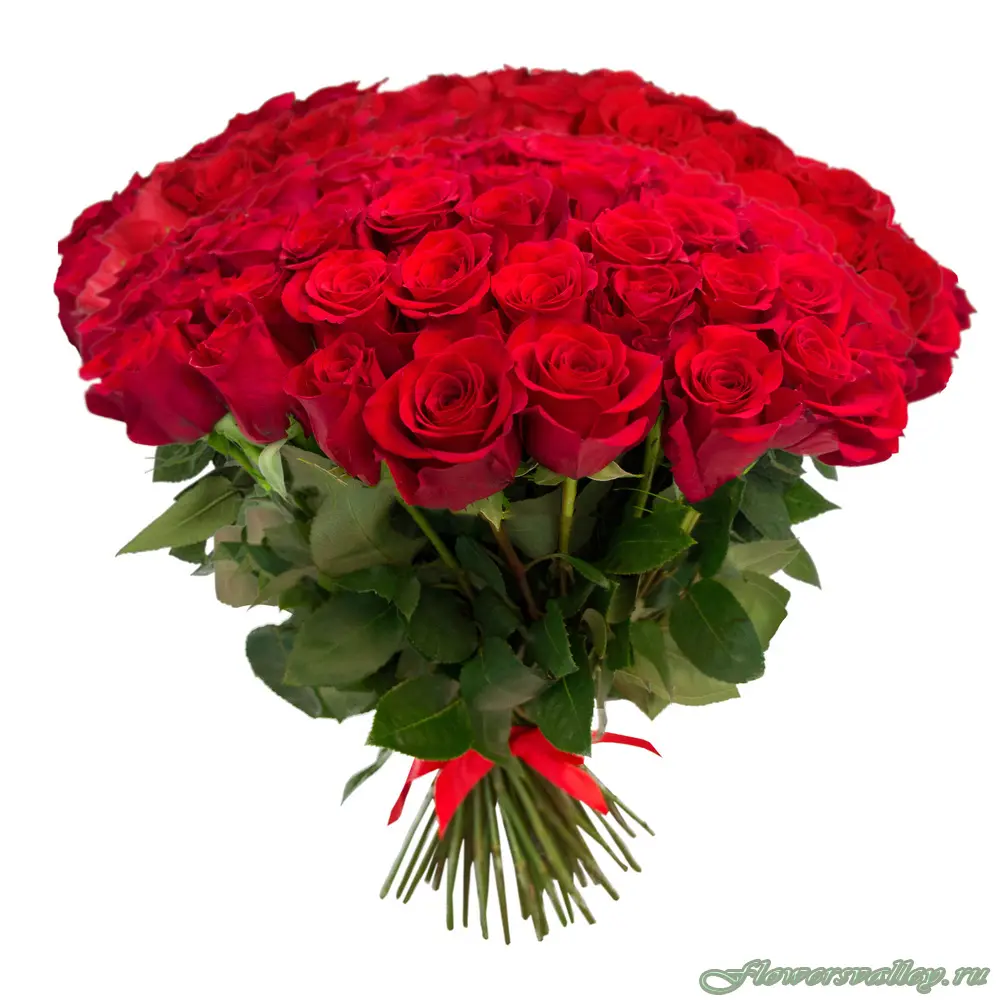 Букет из 51 красной розы (пр-во Эквадор, сорт "фридом")