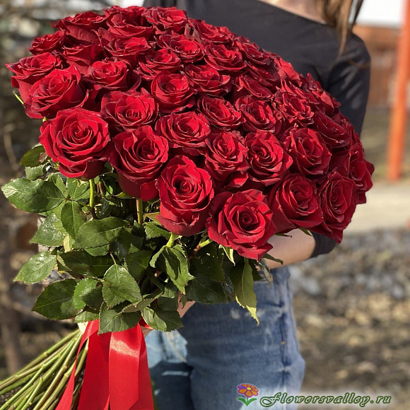Букет из 51 красной розы, сорт "Explorer" (пр-во Эквадор) Главная Товары Букет из 51 красной розы, с