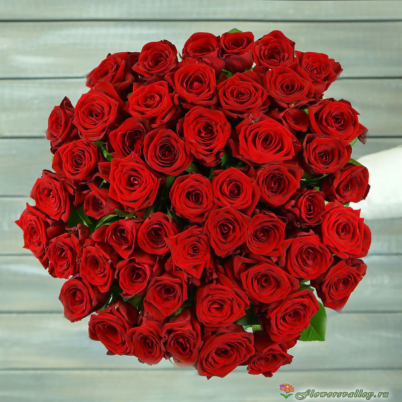 51 красная Роза