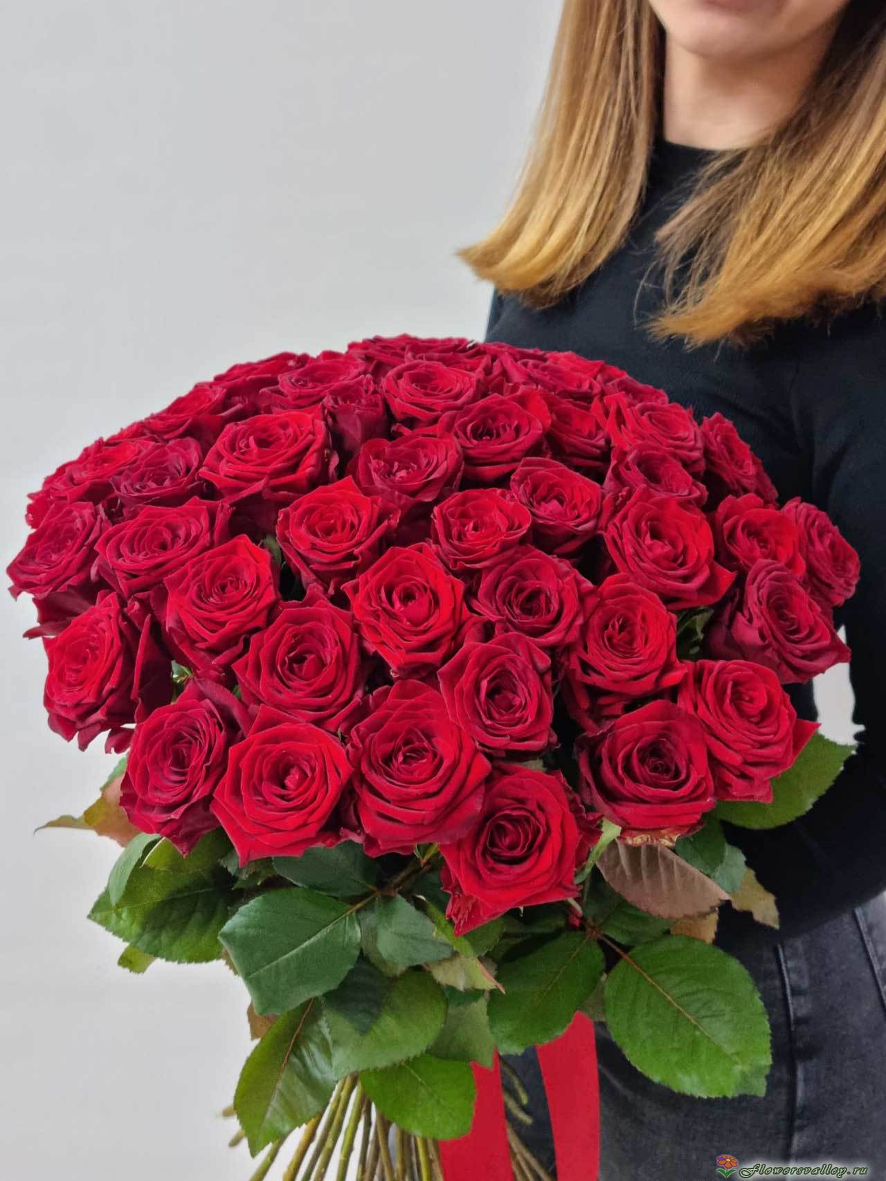 51 красная Роза