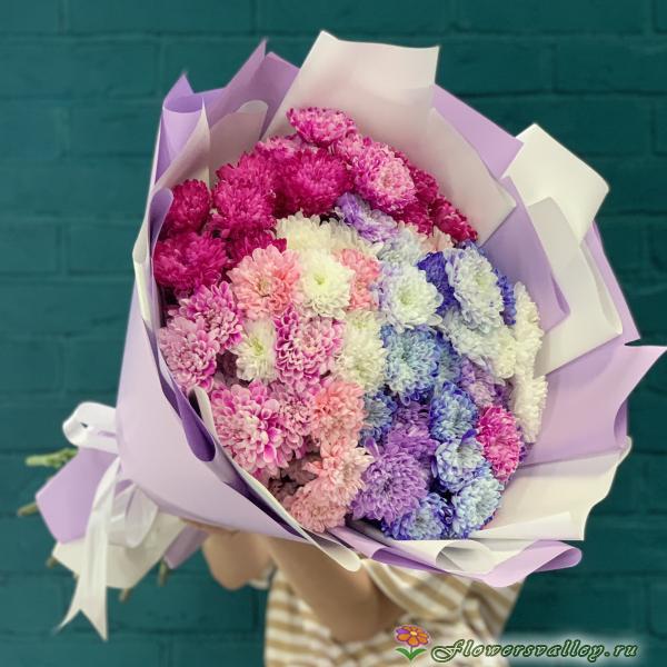 хризантема крашенная фото 5