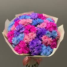 хризантема крашенная фото 4