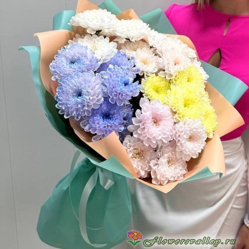 хризантема крашенная