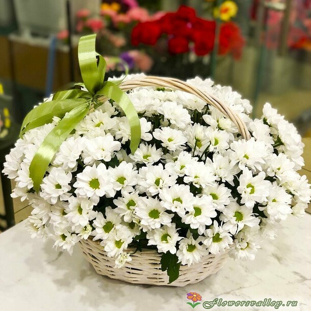 хризантема в корзине