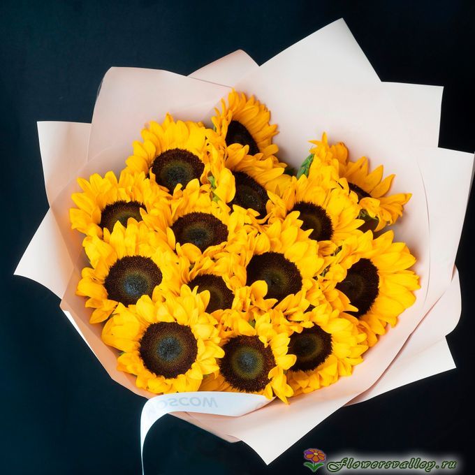 25 подсолнухов