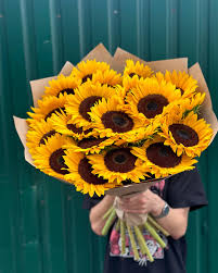 25 подсолнухов