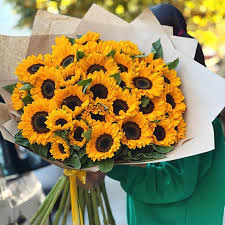 25 подсолнухов