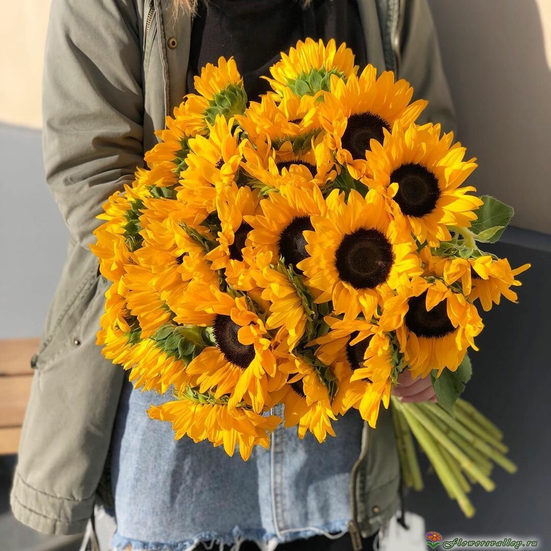 25 подсолнухов
