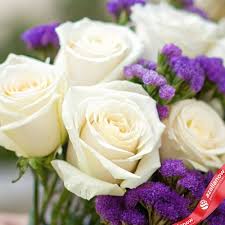 белая роза и статица