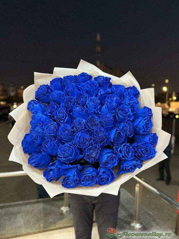 51 синяя роза