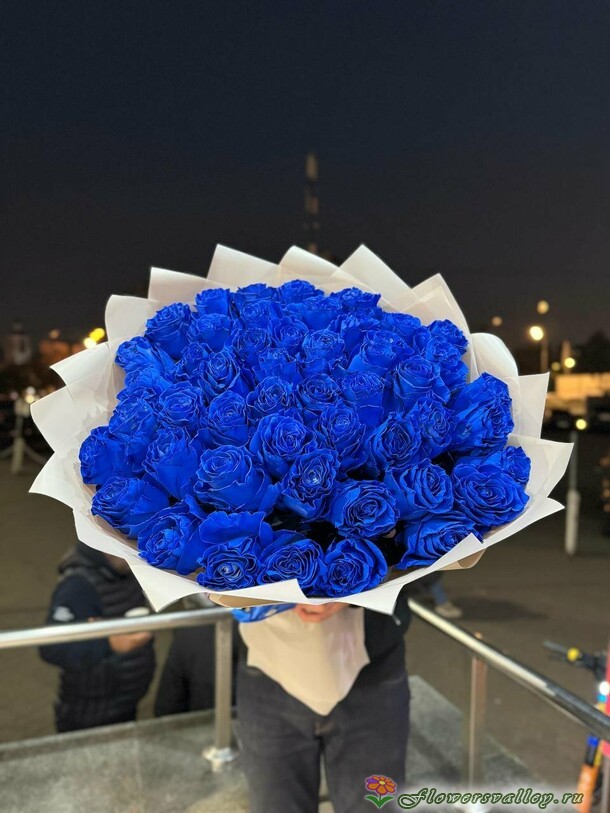 51 синяя роза