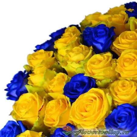 Букет из 101 желтой и синей розы. Фото 4