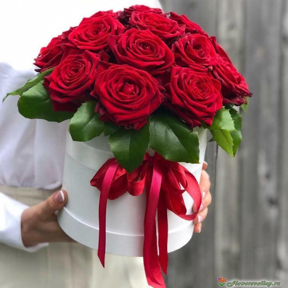 11 красных роз в коробке