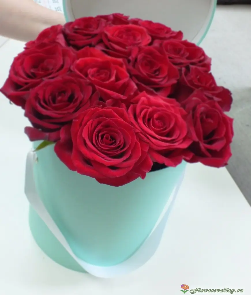 Цветы в коробочке. 15 красных роз в голубой коробочке.