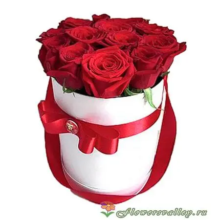 Цветы в коробочке. 15 красных роз в коробочке.