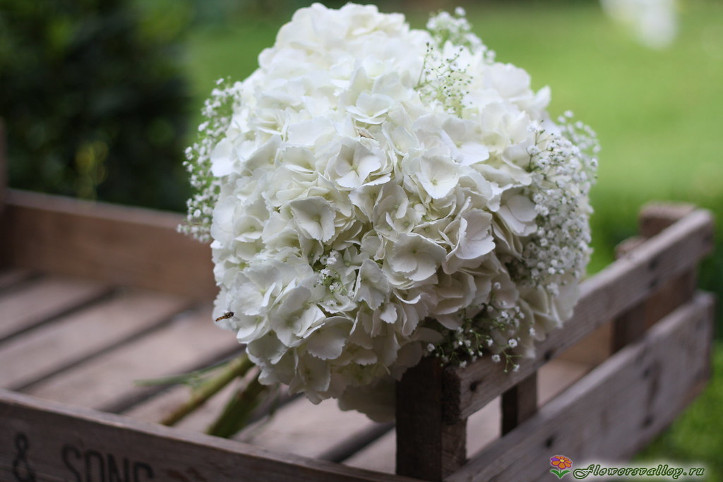 Букет невесты из гортензии