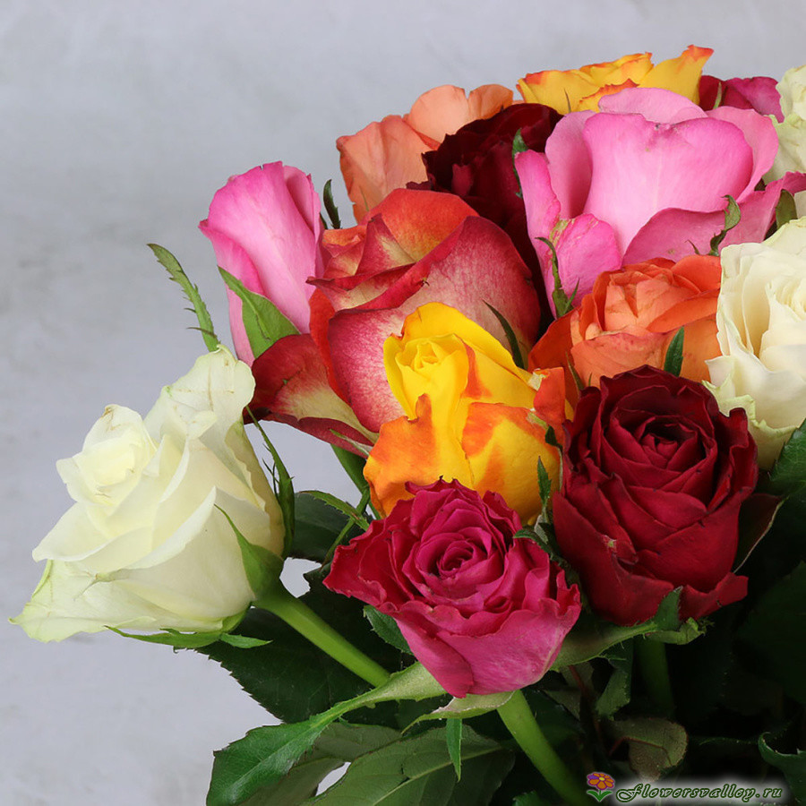 Букет из 15 роз фортуна