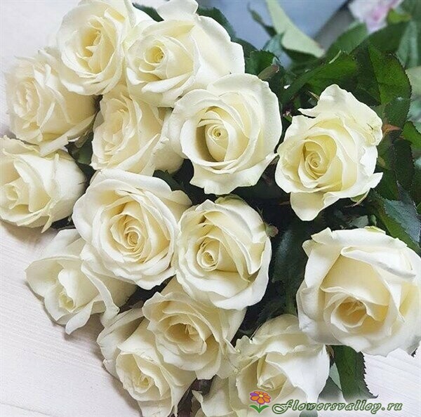 15 роз аваланш