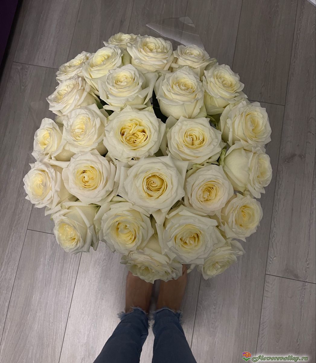 25 белых роз Аваланш