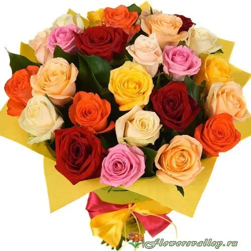 Букет 25 разноцветных роз. Пр-во Россия.