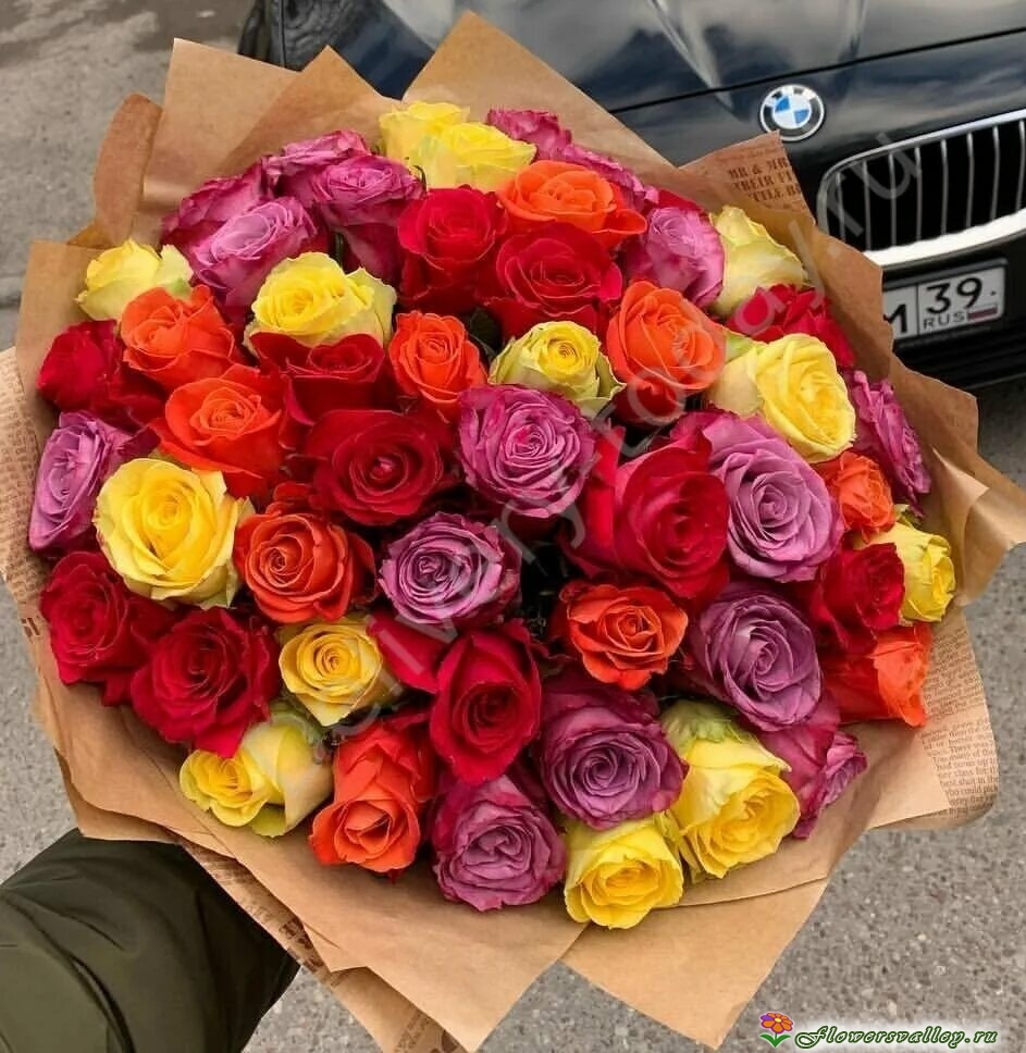 Букет разноцветных роз Фортуна 51 шт