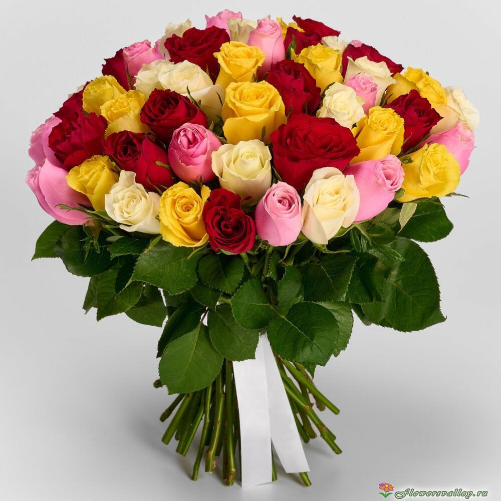 Букет разноцветных роз Фортуна 51 шт