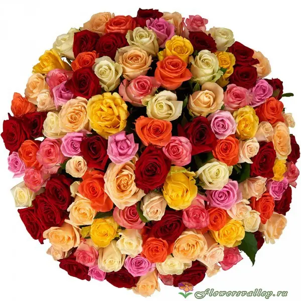Букет 101 разноцветная роза. Пр-во Россия. Фото2.