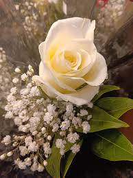 Бутоньерка из белой розы