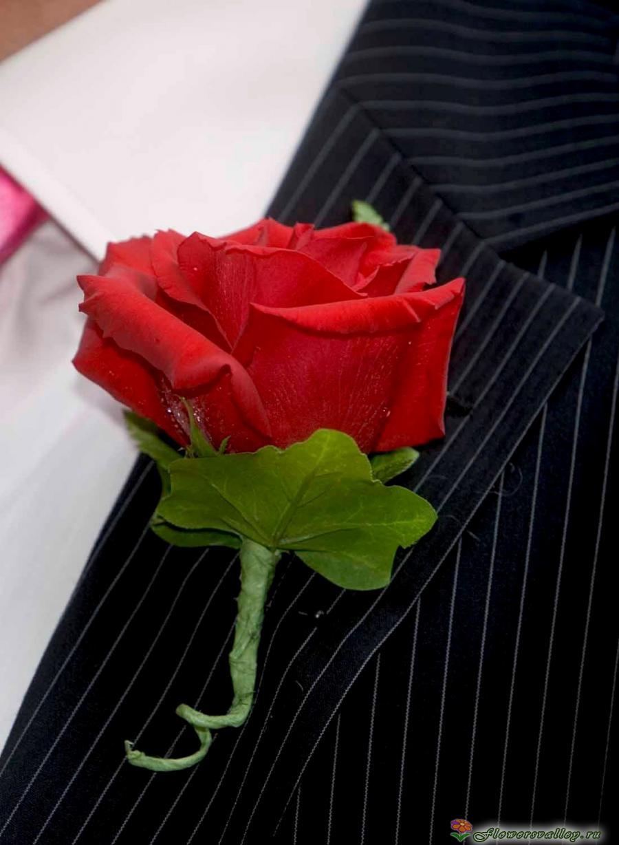Бутоньерка с красной розой