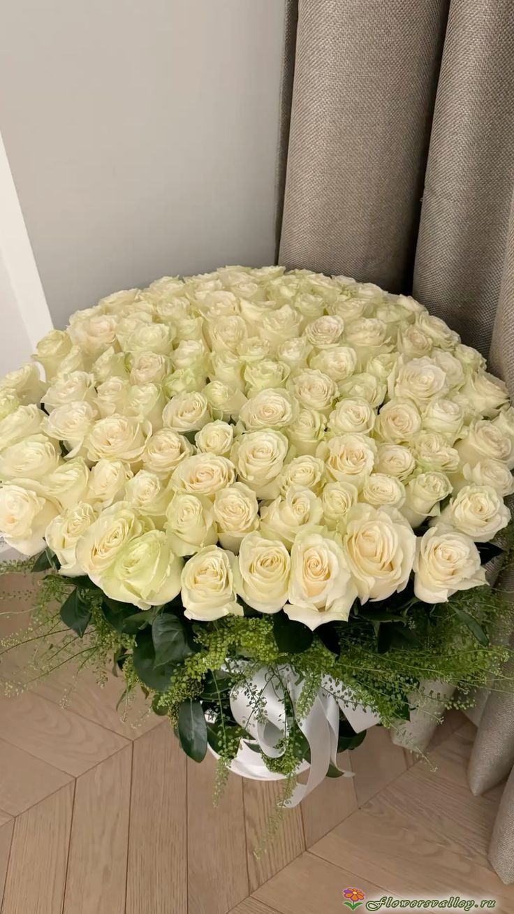 101 Роза белая Аваланш