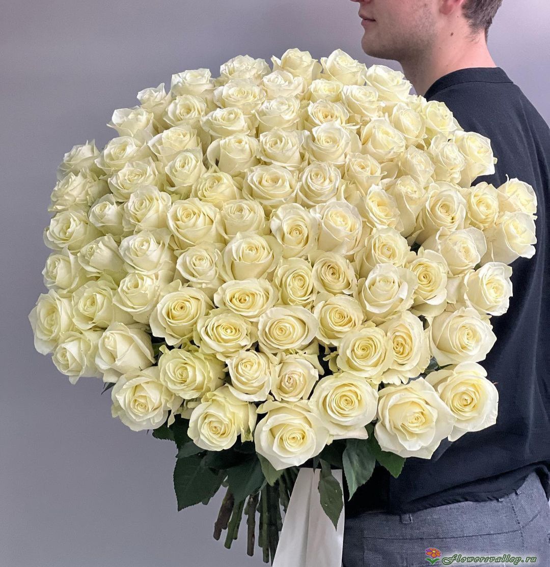 101 Роза белая Аваланш