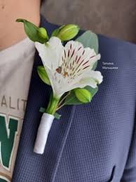 Бутоньерка из альстромерии