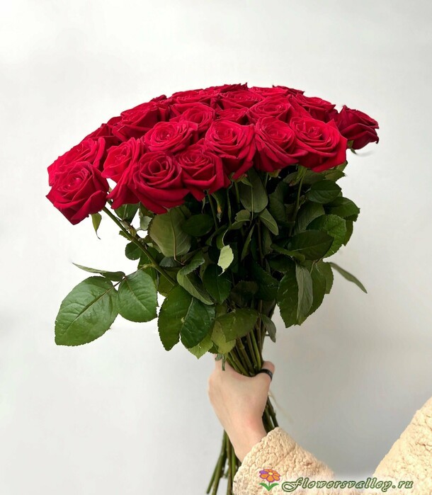 51 красная роза, шары сердечки, плюшевый мишка, конфеты