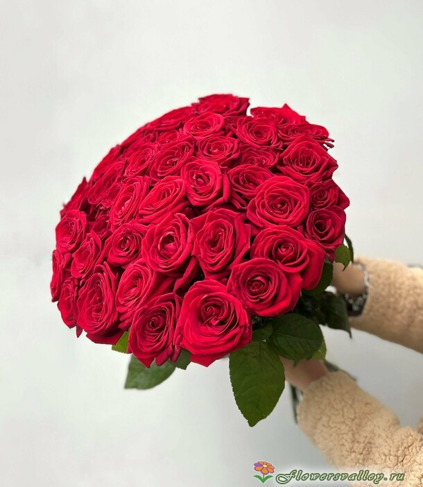 51 красная роза, шары сердечки, плюшевый мишка, конфеты