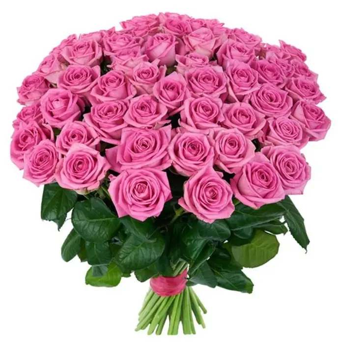 Букет из 25 розовых роз (пр-во Россия)