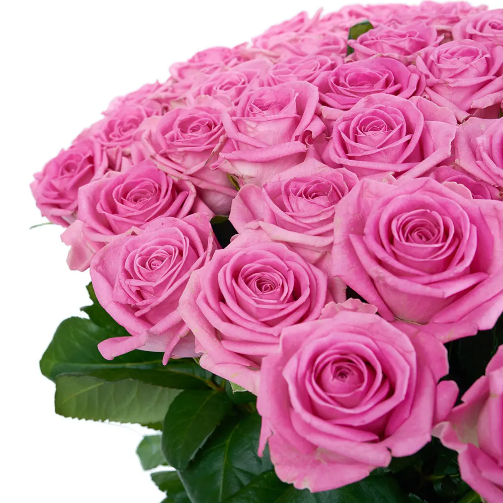 Букет из 25 розовых роз (пр-во Россия). Фото 2