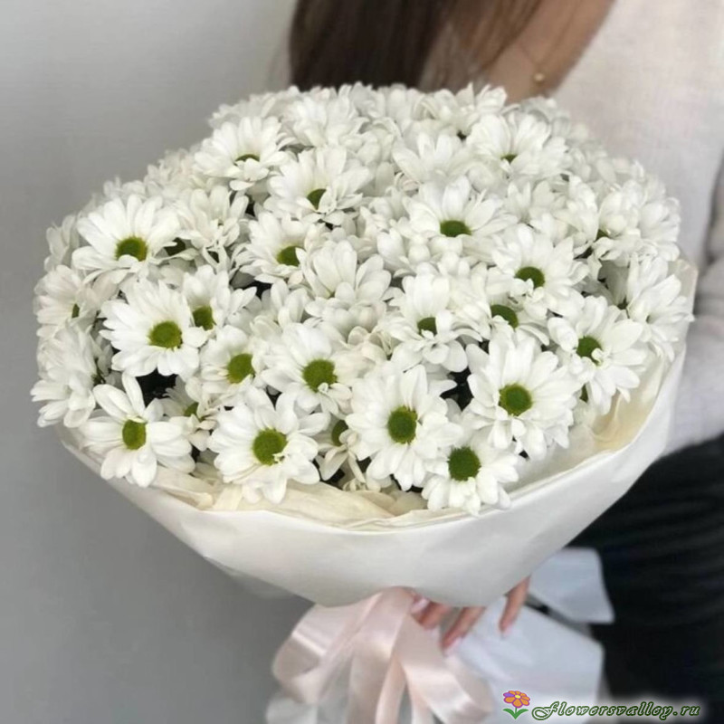 9 хризантем