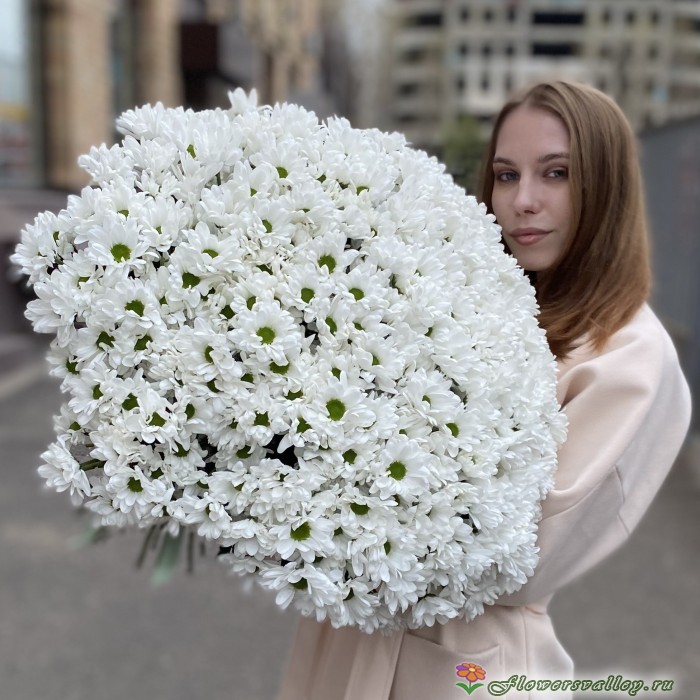 Букет из 51 белых хризантем. Сорт Бакарди