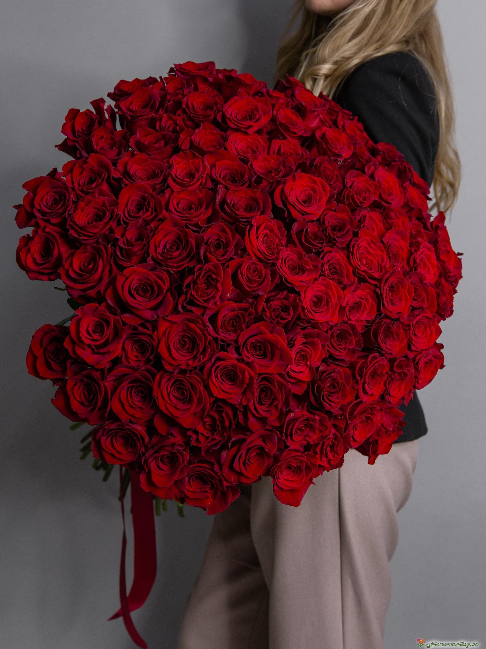 101 красная роза