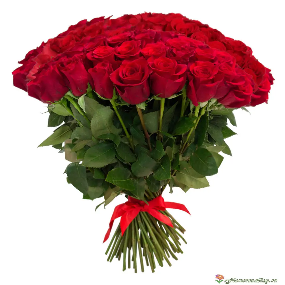 Букет из 101 красной розы (пр-во Эквадор, сорт "фридом")