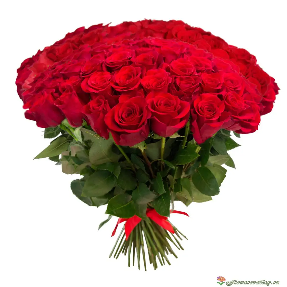 Букет из 35 красных роз (пр-во Эквадор, сорт 