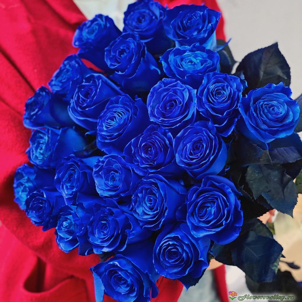 35 синих роз