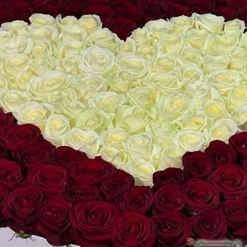 101 роза в шляпной коробке в форме сердца