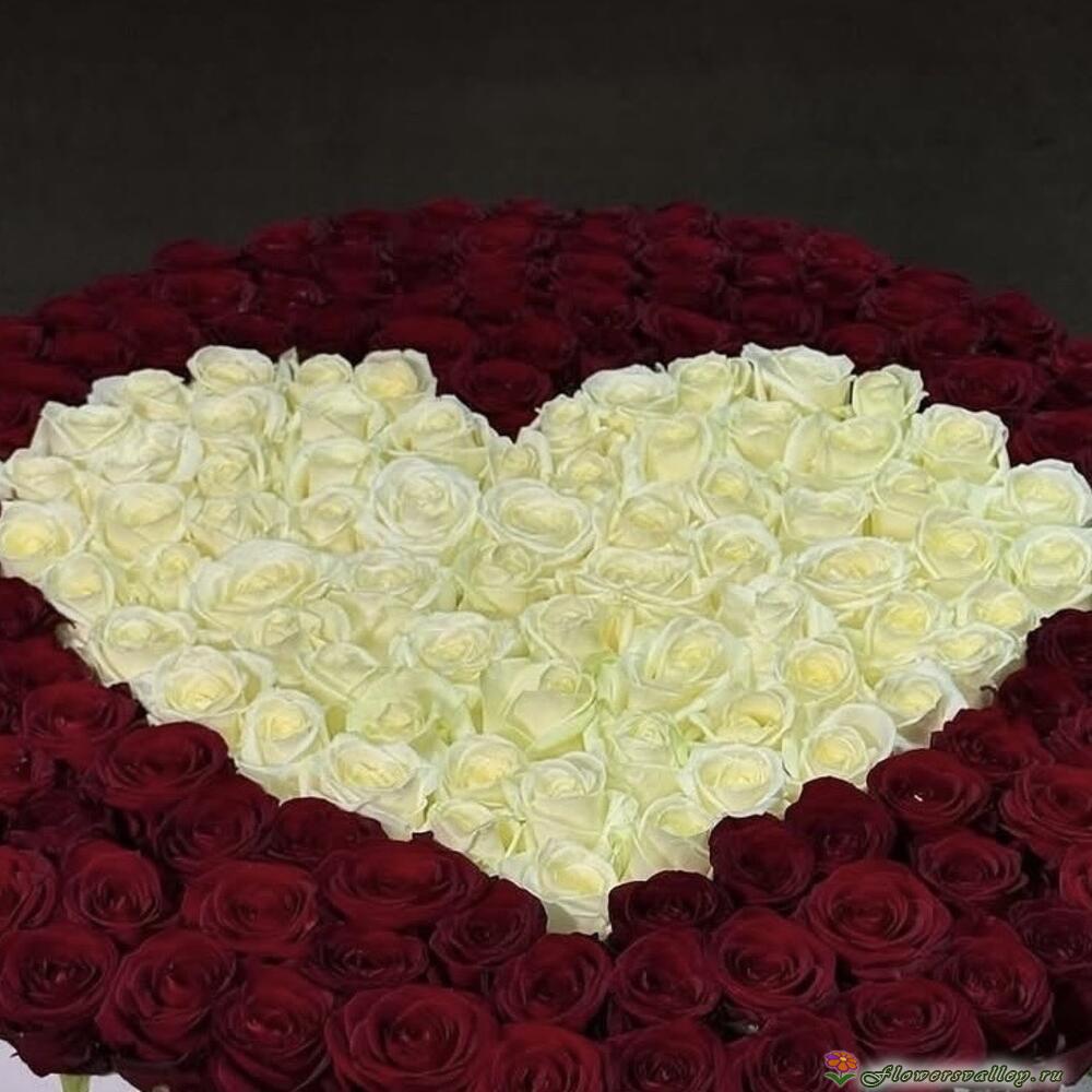 101 роза в шляпной коробке в форме сердца