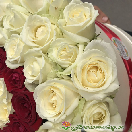 101 белая роза в коробочке