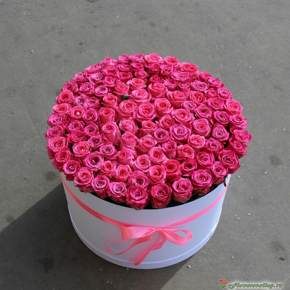 101 розовая роза в шляпной коробке